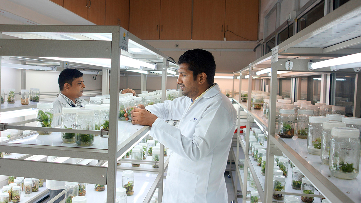 plant-tissue-culture-and-elite-planting-material-laboratory